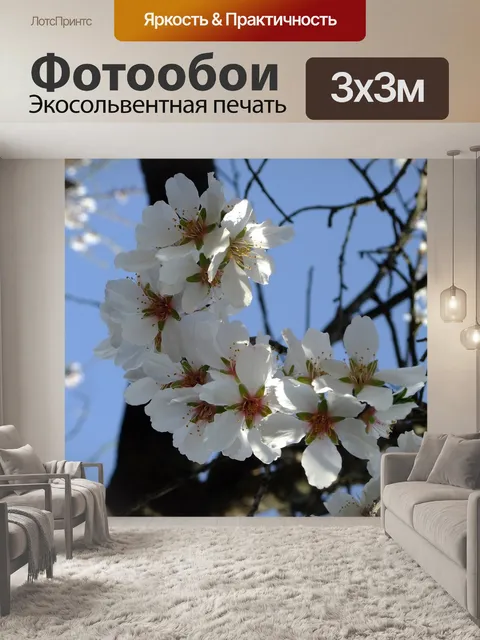 Фотообои Природа