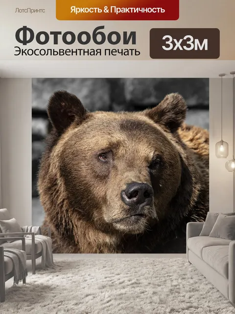 Фотообои Животное