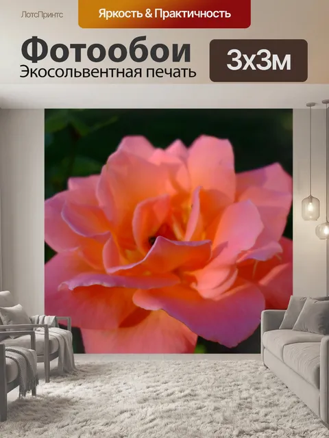 Фотообои Элегантные rose