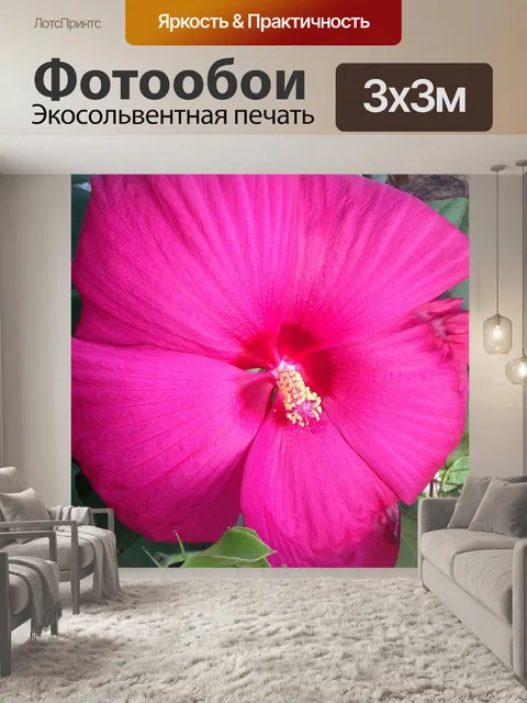 Фотообои Тропический
