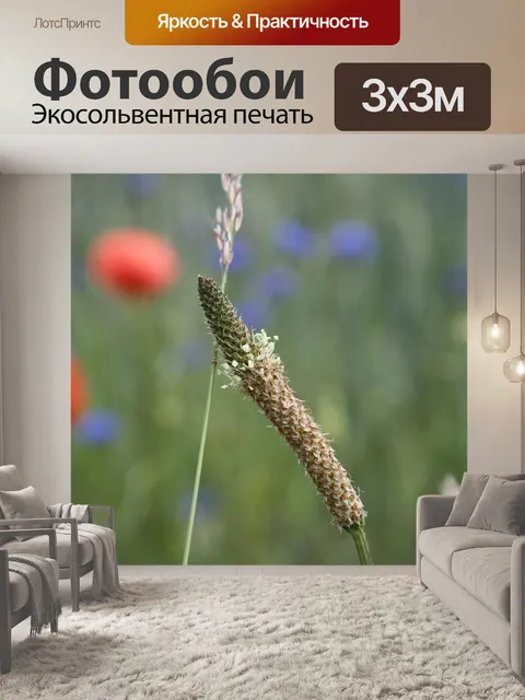 Фотообои Маковое поле