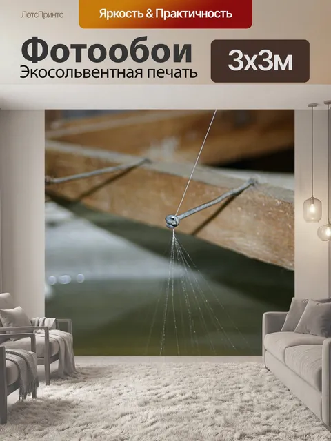 Фотообои Шелковая нить