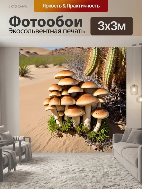 Фотообои грибы, растущие возле кактусов в уголке пустыни, посреди барханов