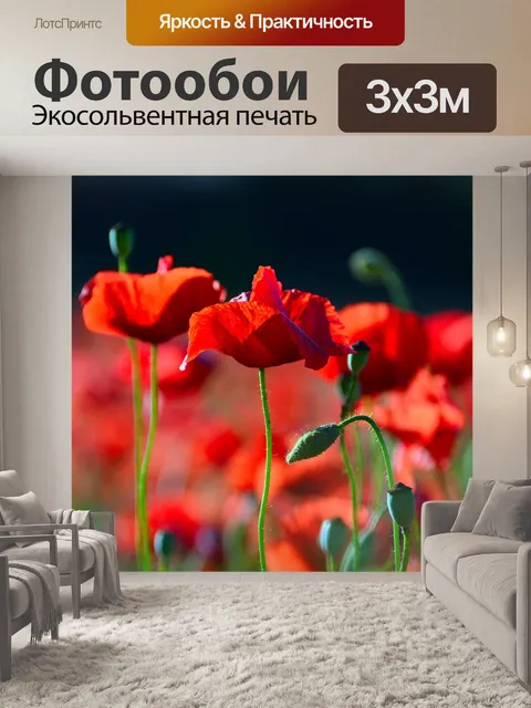 Фотообои Красный