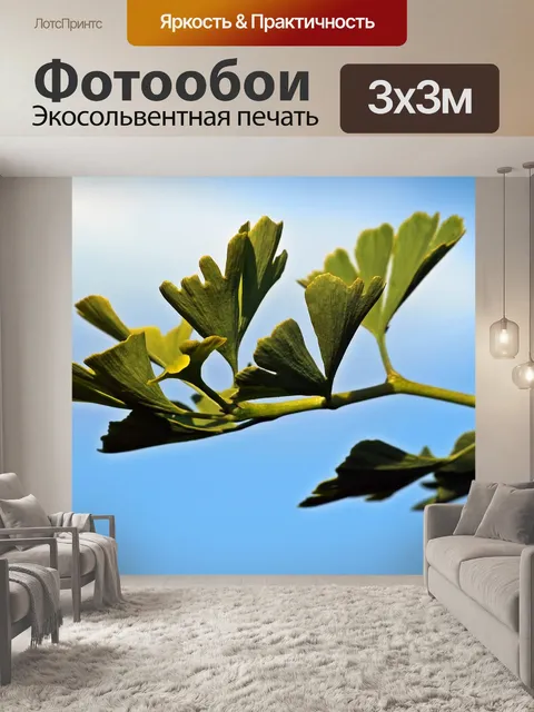 Фотообои Гинкго