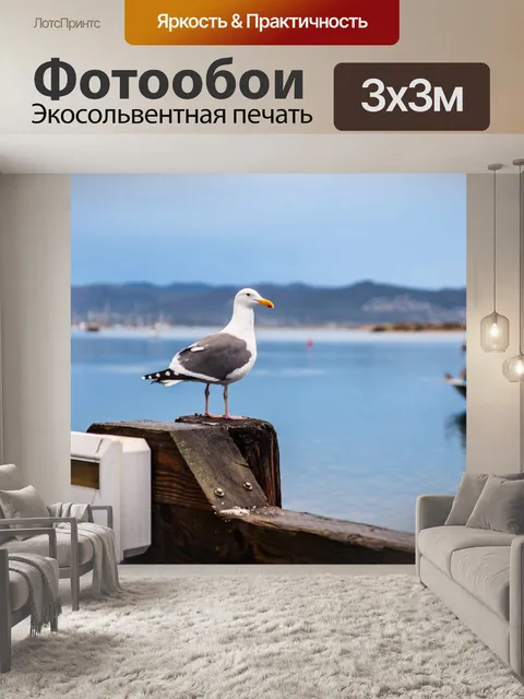 Фотообои Чайка сидит на перила
