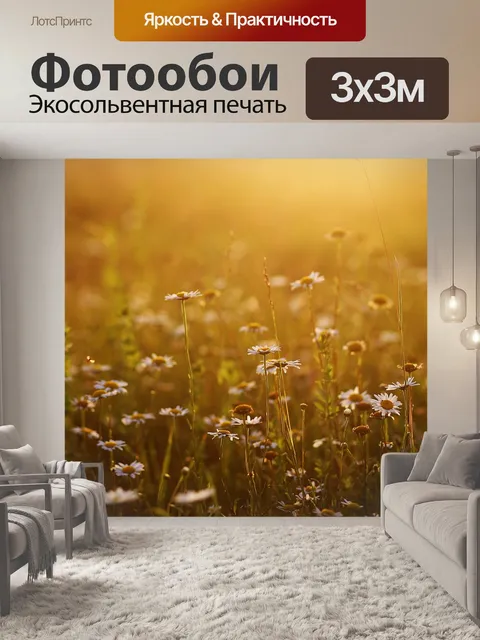 Фотообои Ромашки