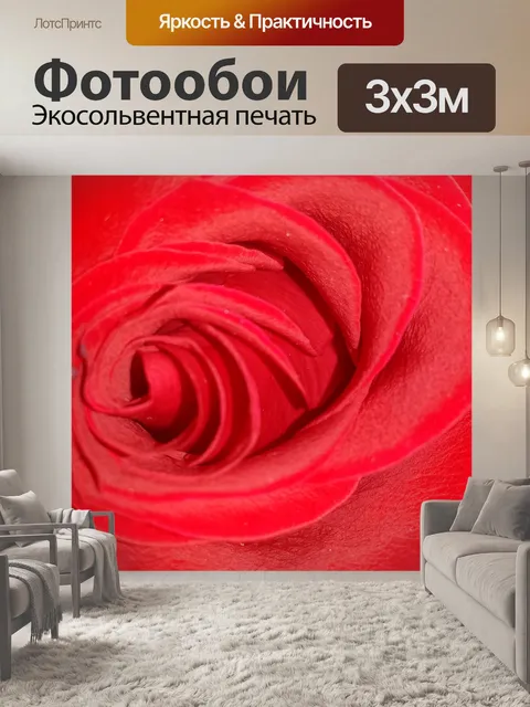 Фотообои Красная роза