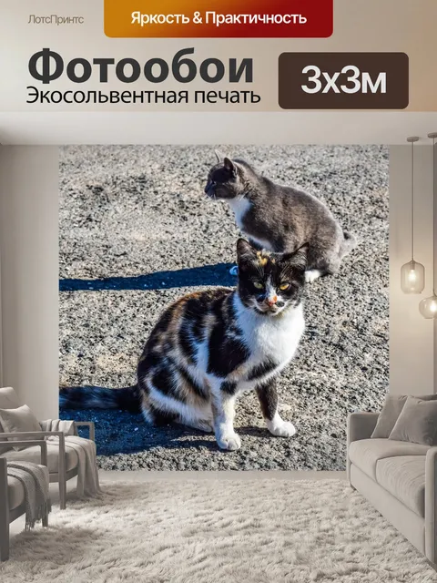Фотообои Кошки