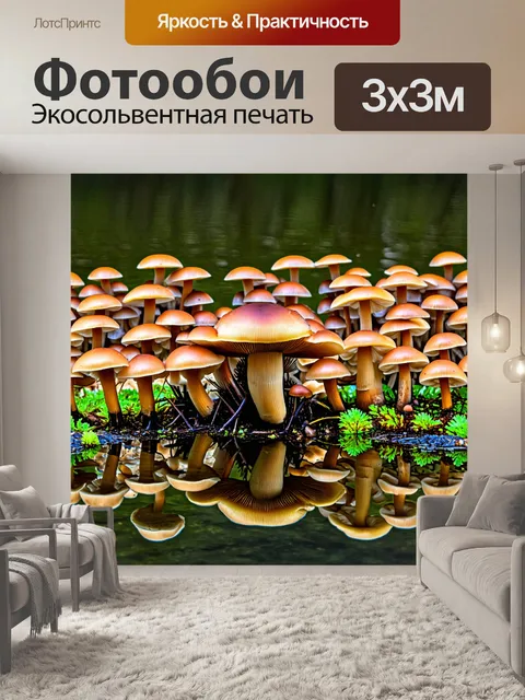 Фотообои грибы грибное место у кристально чистого озера