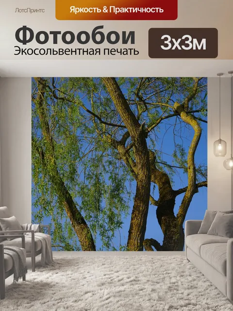 Фотообои Дерево