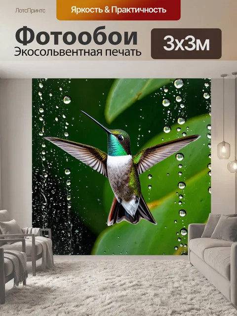 Фотообои колибри, играющий в каплях воды, с яркими отражениями и реалистичными брызгами на фоне тропического леса