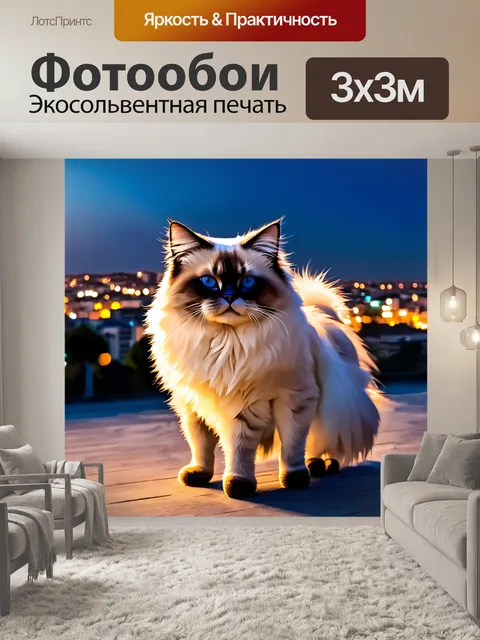 Фотообои священный бирманский кот