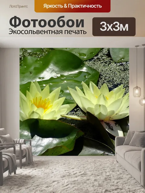 Фотообои Водяные лилии