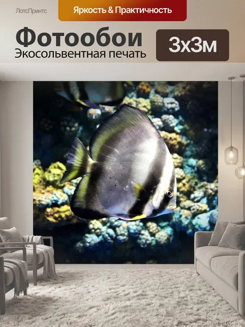 Фотообои Аквариум с рыбками в Срисакете, Таиланд