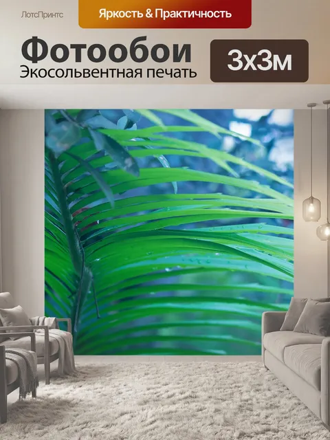 Фотообои зеленые листочки на пальмовой ветке