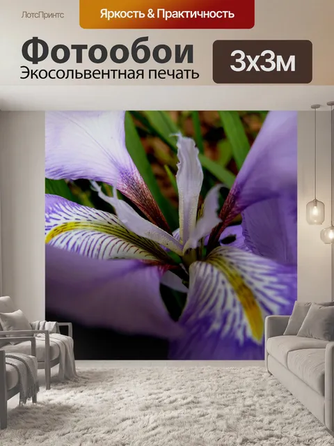 Фотообои Пурпурный flower