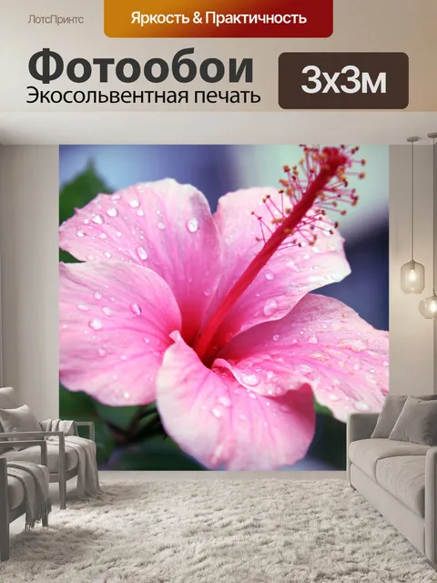 Фотообои Капли воды на лепестках