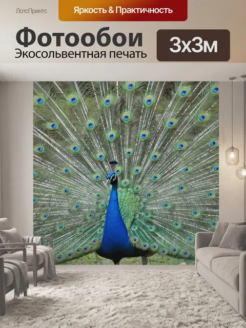 Фотообои Павлин