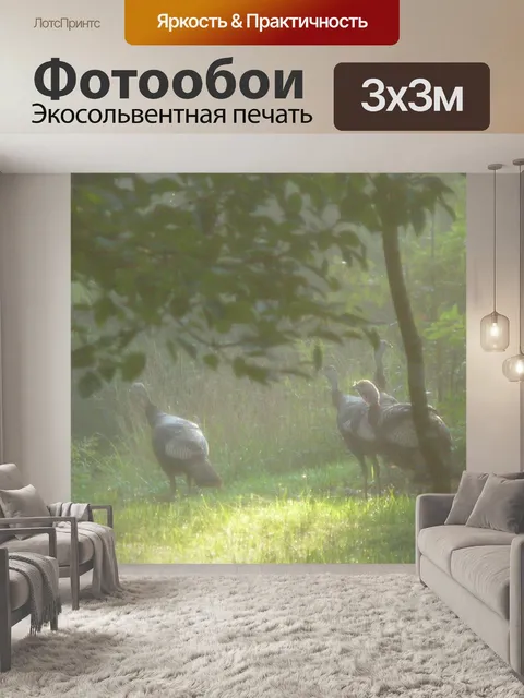 Фотообои Дикие индюки в туман