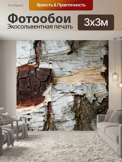 Фотообои Фон текстуры коры березы