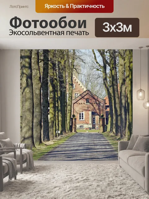 Фотообои Дубовая аллея