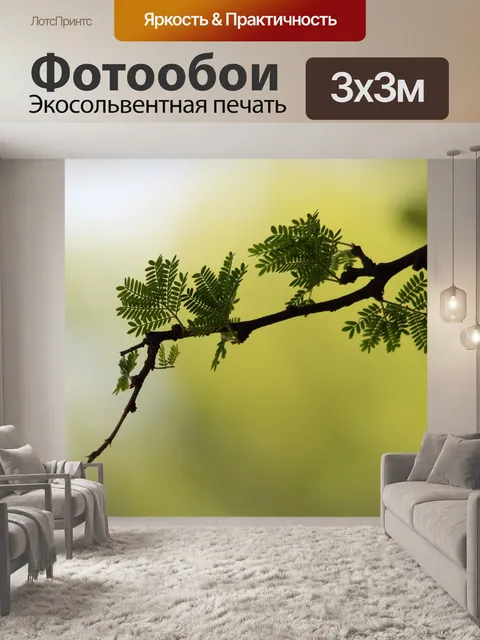 Фотообои акации прутик и терновник