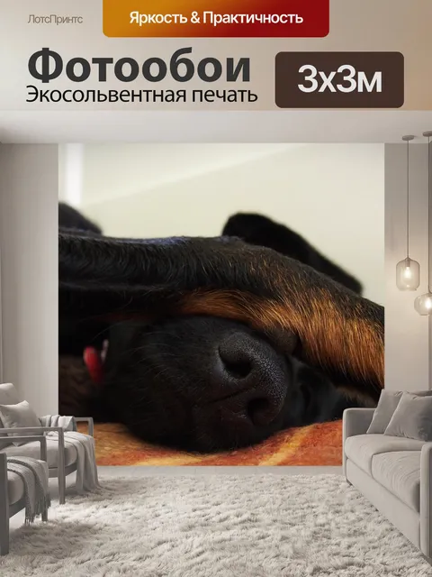 Фотообои Собака