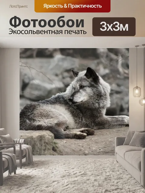 Фотообои Волк