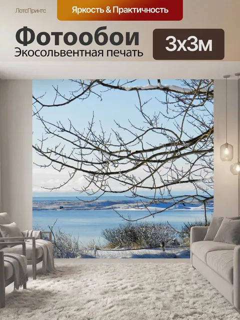 Фотообои Агуаниш зимой 104