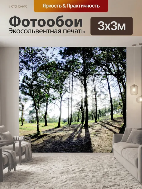 Фотообои Природа горы Фу Руа