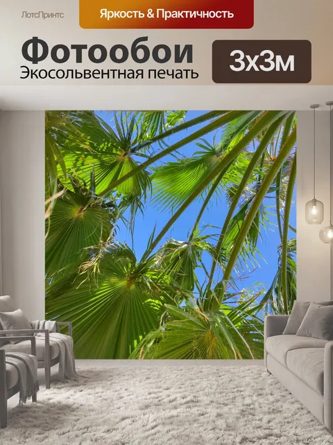 Фотообои Зеленые пальмовые листья и небо