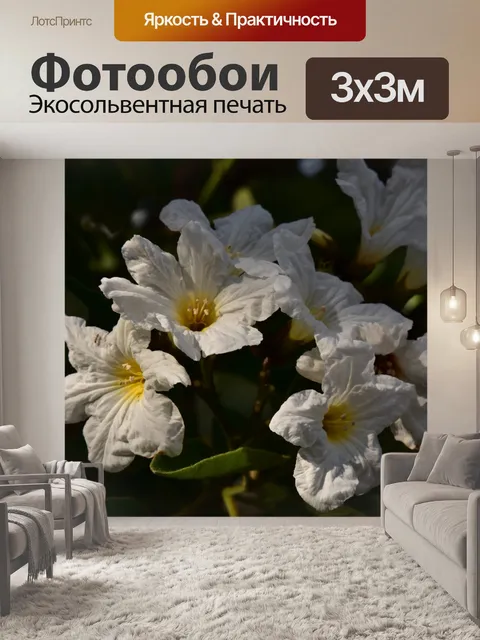 Фотообои Бумажные белые цветы