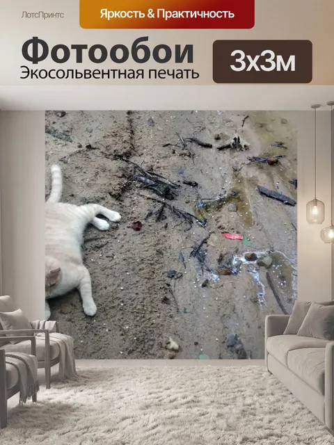 Фотообои Охлаждение кота