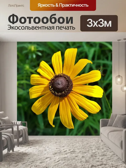 Фотообои Цветок