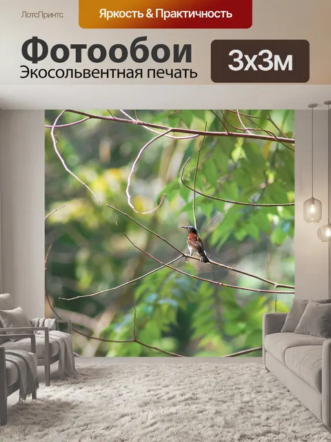 Фотообои Птица Гоа