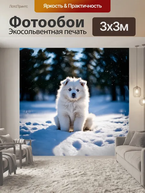 Фотообои в центре внимания - самоед щенок, сидящий на мягком снеге, его пушистая шерсть сверкает под солнечными лучами