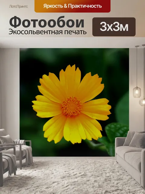 Фотообои один желтая ромашка