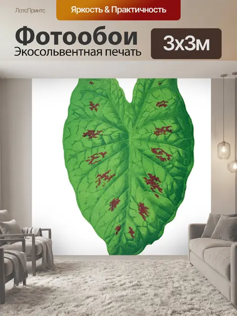 Фотообои Листья листва Винтаж клипарт
