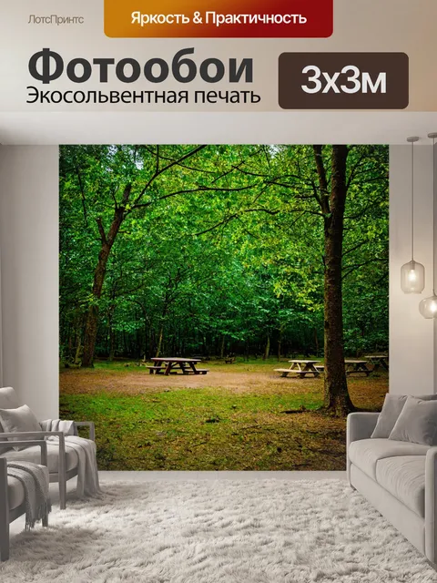 Фотообои лес с частично укрытыми местами для пикника под шатром деревьев