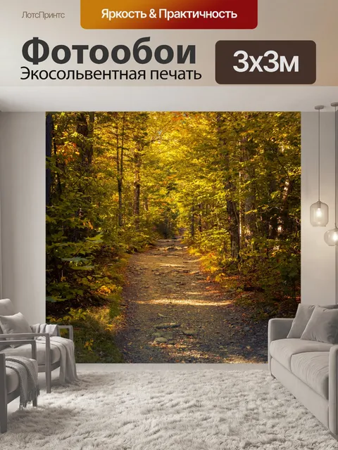 Фотообои Тропа в лесу