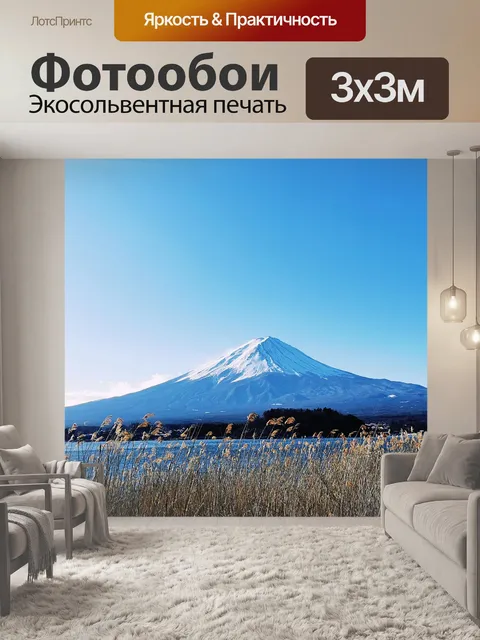 Фотообои Тростник