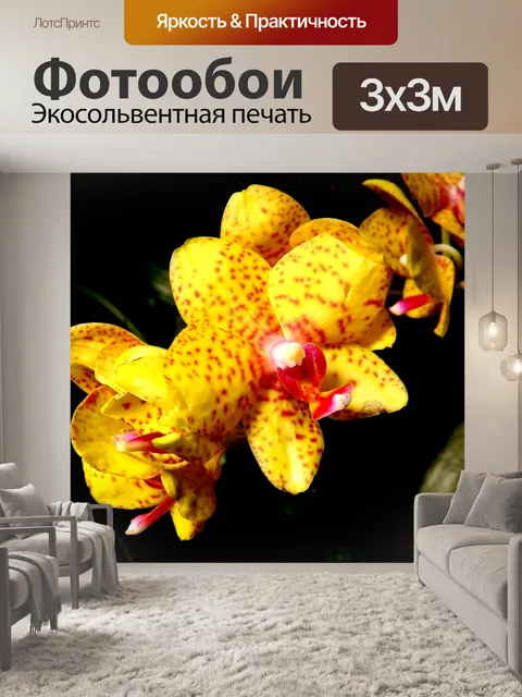Фотообои Желтый