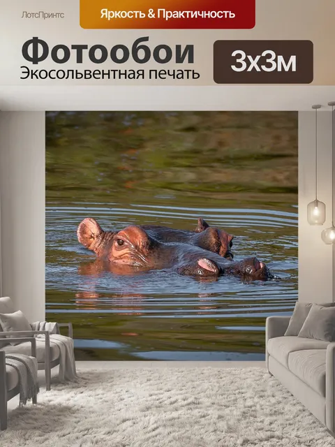 Фотообои Бегемот