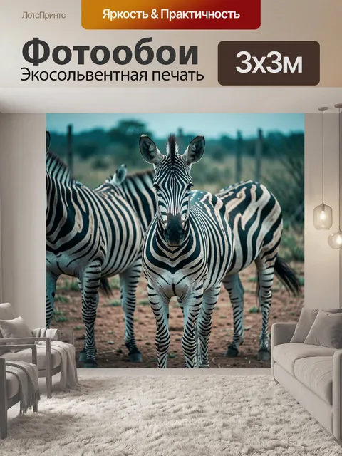 Фотообои Зебры на африканском фоне