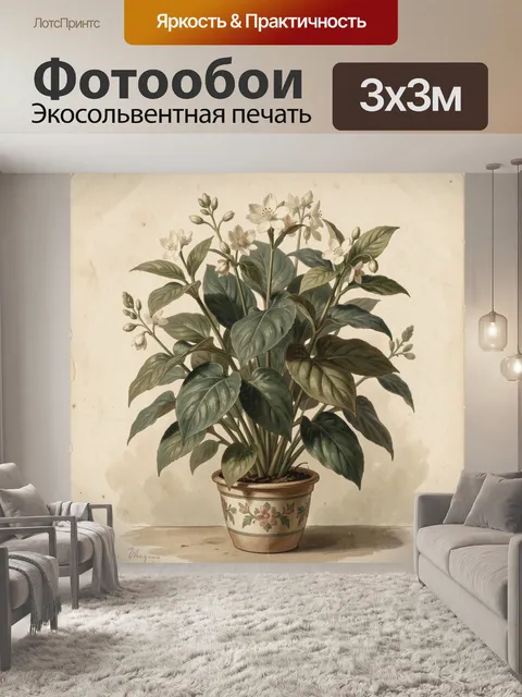 Фотообои Комнатное растение с белыми цветами