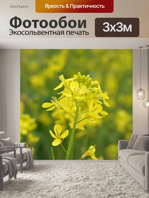 Фотообои Цветок