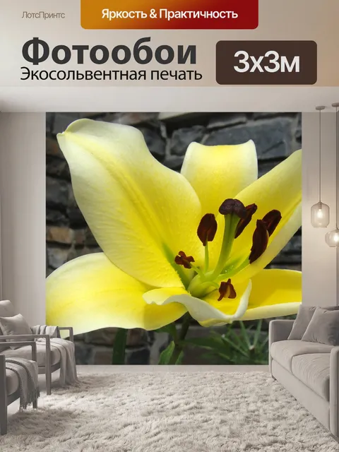 Фотообои Калла Лили