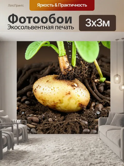 Фотообои глубокий взгляд на корень картофеля