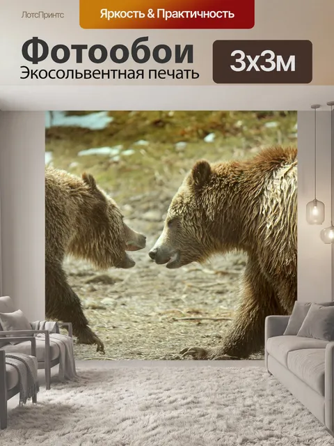 Фотообои Медведи гризли играют 3